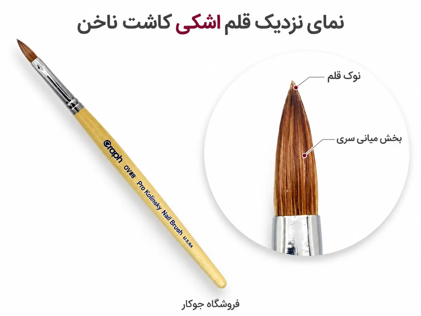 نمای نزدیک نوک و موهای قلم اشکی مخصوص کاشت پودر ناخن